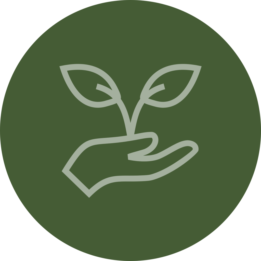 seedling growth icon green