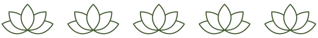 zen icon 5