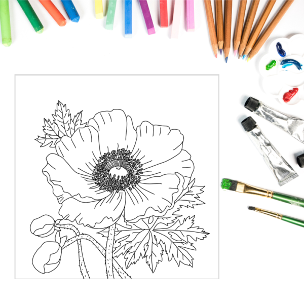 Nature's Palette : Adult Coloring Book for Stress Relief and Inspiration - Image 2