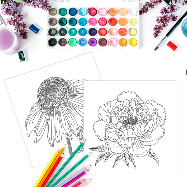 Nature's Palette : Adult Coloring Book for Stress Relief and Inspiration - Image 3