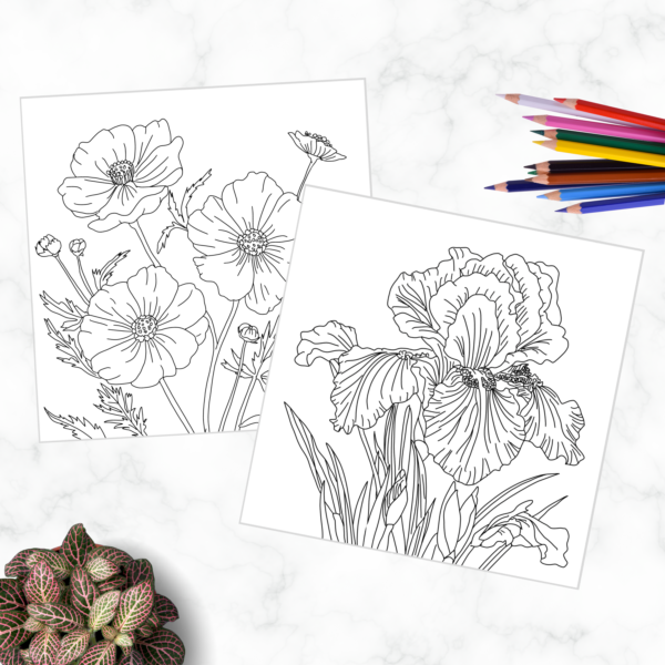 Nature's Palette : Adult Coloring Book for Stress Relief and Inspiration - Image 4