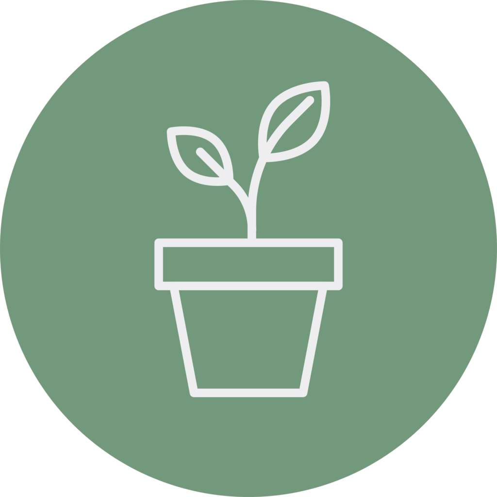 plant icon green